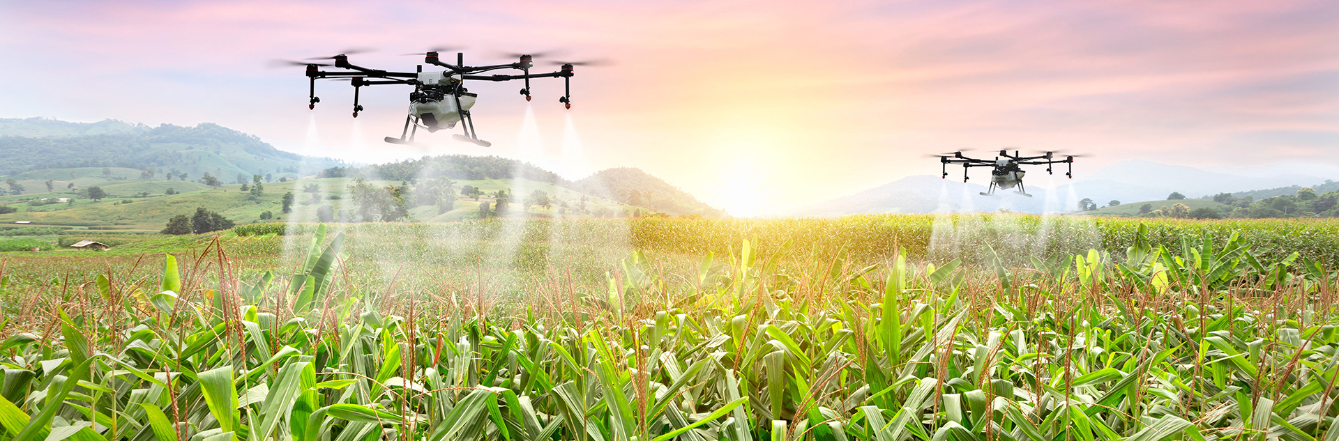 Drone Supply Store -Drone Supply Store 3